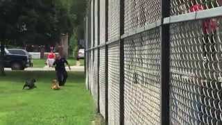 Topeka Police Officer Shoots Attacking Dog, Saves Bloodied Kids Adults