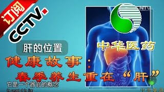 [Chinese Medicine] 20160406 | CCTV-4