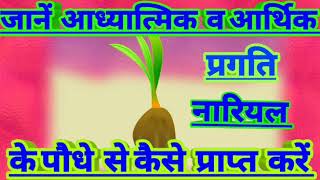 जानें आर्थिक  व आध्यात्मिक  उन्नति  नारियल के पौधे  से कैसे  प्राप्त  करें