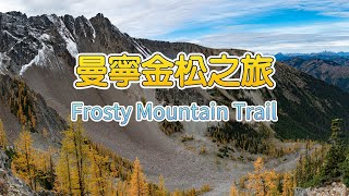 Frosty Mountain larches in Manning Park | 曼宁公园金松之旅 | 金松摄影欣赏