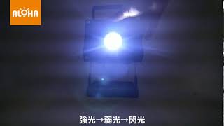 ALOHA阿囉哈LED總匯批發－LED-30w-白光手提式投光燈