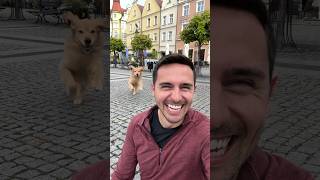 Dog leaps into a selfie