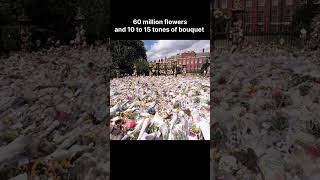 One bouquet to 60 million bouquets 💐 #history #art #painting