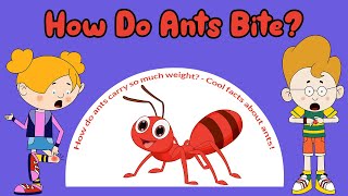 How Do Ants Bite? - How do ants carry so much weight? - Cool facts about ants! - Learning Junction