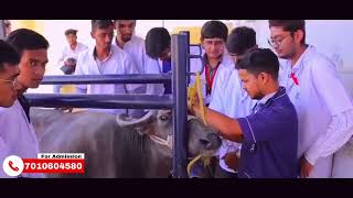 MB Veterinary College | Top Veterinary Colleges in India – Admission Guide 2024