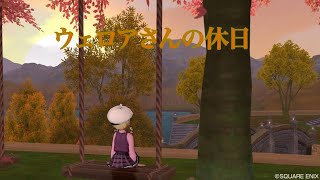 DQX　おはようございます