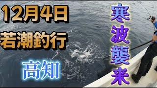 【ジギング】高知　強風・雨でも頑張る　１２月4日若潮釣行　Japanese boat fishing【タイラバ】