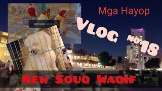 New Souq Waqif ( Daming Hayop ) Vlog #18