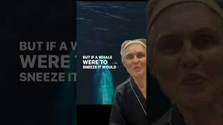 If a whale were to sneeze #whalebreath #didvouknowthat?#youshouldknowthis #drlewinnsskincare