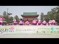 4k 河内連　京都さくらよさこい 2019 2日目 神宮道 さくよさ