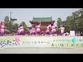 4k 河内連　京都さくらよさこい 2019 2日目 神宮道 さくよさ