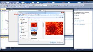OpenFileDialog Control in VB.NET