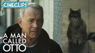 A Man Called Otto | Otto Becomes A Hesitant Cat Owner | CineStream