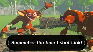 Remember the Time I Shot Link! (Zelda Short)