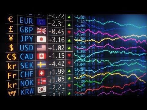 How does the government manage exchange rates?