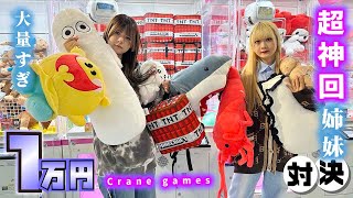 【超神回】クレーンゲーム１万円対決！2024年初の姉妹対決で超大量ゲット…【のえのん】