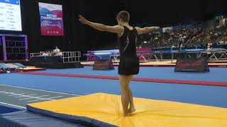 Kristof Willerton - GOLD - Snr Men - 2019 British Tumbling Championships