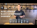 Intelligentsia Black Cat Espresso Overview