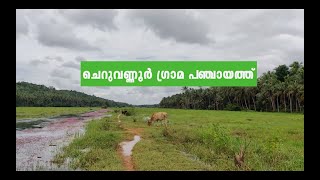 വികസനത്തിന്റെ പുതുവഴികൾ ചെറുവണ്ണൂർ ഗ്രാമ പഞ്ചായത്ത് Cheruvannur Grama Panchayat new development ways