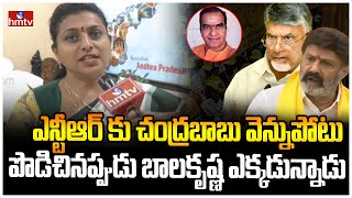 బాలకృష్ణ మీసం మెలేయటంపై రోజా రియాక్షన్ | MLA Roja Face to Face on Balakrishna Issue | hmtv