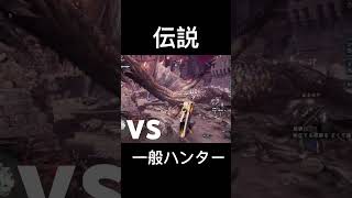 【伝説の黒龍/ミラボレアス】 一般ハンターでも倒せる事を証明したい　#mhw