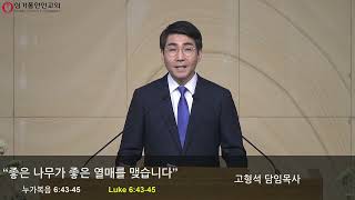 싱가폴한인교회 - 주일예배 - 좋은 나무가 좋은 열매를 맺습니다 - 고형석 목사 - 2024.10.20