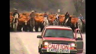 Holliday Cattle Drive  John Day, Oregon