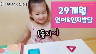 29개월 아기 언어 인지발달, 3세 도형놀이, 29개월 책읽기,