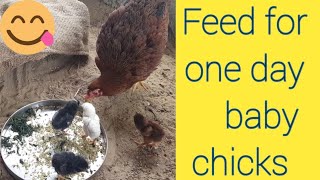 Feed secrets for day 1baby chicks ఇలా చేస్తే నాటుకోళ్ల లో వ్యాధులు రానే రావు