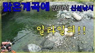 [쿠키사마]맑은계곡 마이크로스푼 꺽지낚시 /Spooning Lure fishing 溪流釣り 谷釣りイオヤニラミ