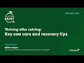 Talking Dairy: Thriving after calving - key cow care and recovery tips | Ep.82