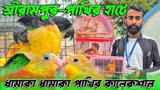 Serampore Pet Market।আজকেও ভিডিও তে থাকছে দারুন দারুন পাখির কালেকশন।।Red rumped Parrot,Caique।