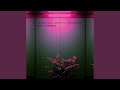 Preface (Original Mix)