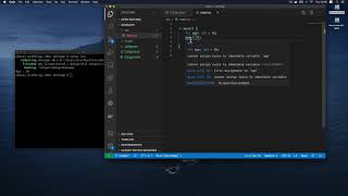 09 Variables And Shadowing (Rust Systems Programming)