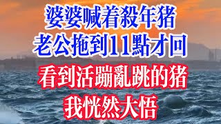 婆婆喊着杀年猪，丈夫拖到11点才回，看到活蹦乱跳的猪，我恍然大悟。  #為人處世 #生活經驗 #情感故事 #退休生活 #老年生活 #晚年生活 #子女养老