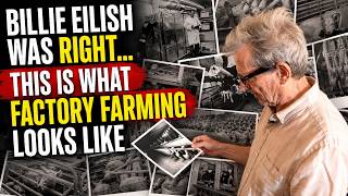 Billie Eilish Was Right… This Is What Factory Farming Looks Like