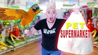 Buying My Parrot EVERYTHING She Touches!