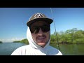 will the livetarget pinfish catch big snook lure review