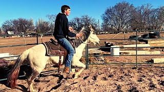 HORSE TRAINING - FIRST MOUNT & FIRST RIDE | did Blake get SKUNKED?