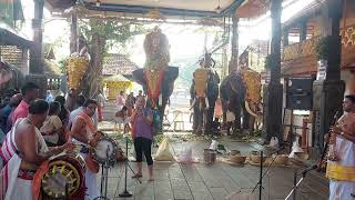 Prabatha Sreebali Pallivetta Day #ambalappuzha #kerala #india #temple #elephant #youtube #video