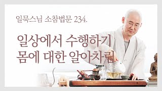 일상에서 수행하기, 몸에 대한 알아차림ㅣ일묵스님ㅣ제따와나선원 월요소참 234.