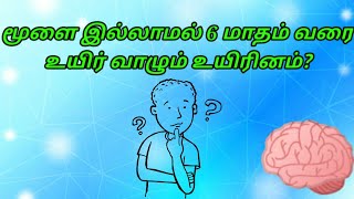 நாம் பயன்படுத்தும் ரூபாய் நோட்டு எதனால் அச்சடிக்கப்பட்டது? TNPSC MOST IMPORTANT QUESTION AND ANSWER