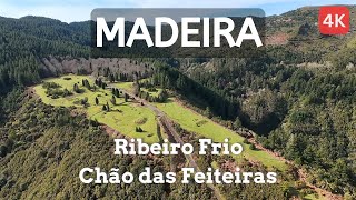 ✈️ 🌲 FPV Cinematic Drone Flight Over Chão das Feiteiras: A Madeira Island Aerial Journey