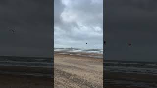 🌊 Scheveningen Beach in Autumn 🇳🇱