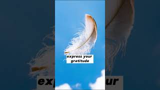 ANGEL MESSAGE FOR TODAY : WHITE FEATHERS