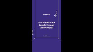 Is an Ambient Air Sample Enough to Find Mold?