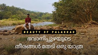 പാലക്കാടൻ കാടുകളിലൂടെ ഒഴുകി തമിഴ്നാട്ടിലേക്ക് പ്രവേശിക്കുന്ന സുന്ദരി|bhavani river #palakkad #travel