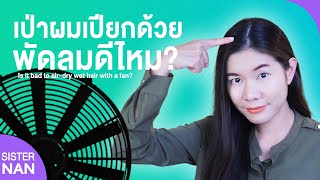 เป่าผมเปียกด้วยพัดลมดีไหม? ผมยาวตรงสวย หนานุ่ม ไม่ชี้ฟู ทำไง air-dry wet hair wt fan?| แนนSister Nan