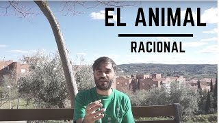 El animal racional (adaptación libre del manual de César Tejedor Campomanes)