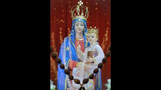 Holy Mass,Novena,Adoration Live@ 9 AM 08/02/2025 from Basilica Of Our Lady Of Snow, Palliport